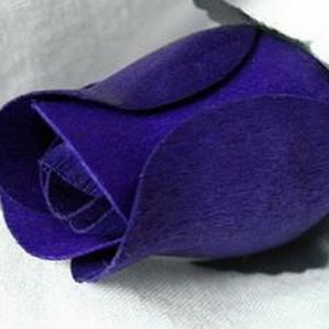 Meet your Posher, Teresa